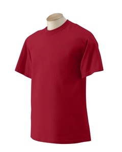 Gildan 6.1 oz. 100% Cotton T-Shirts- Our Best Seller!